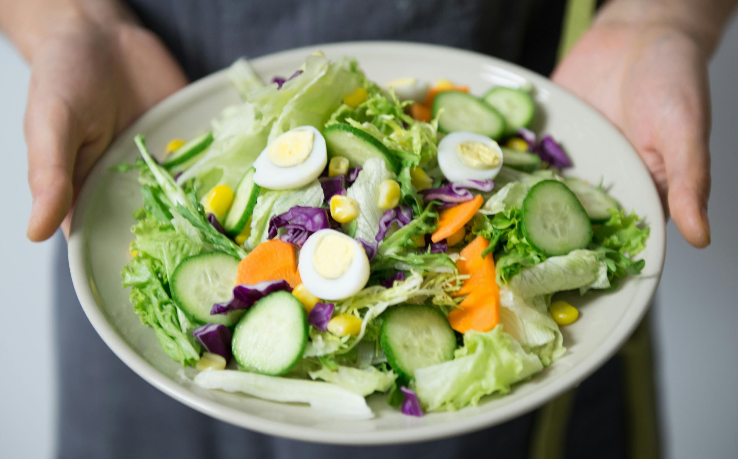 Faut-il changer son alimentation avant une irrigation ?